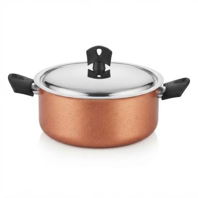 24cm Non-Stick Copper-Finish Aluminum Cooking Pot with Steel Lid